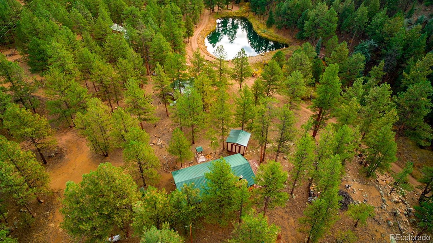 MLS Image #18 for 1356 n crystal road,lake george, Colorado