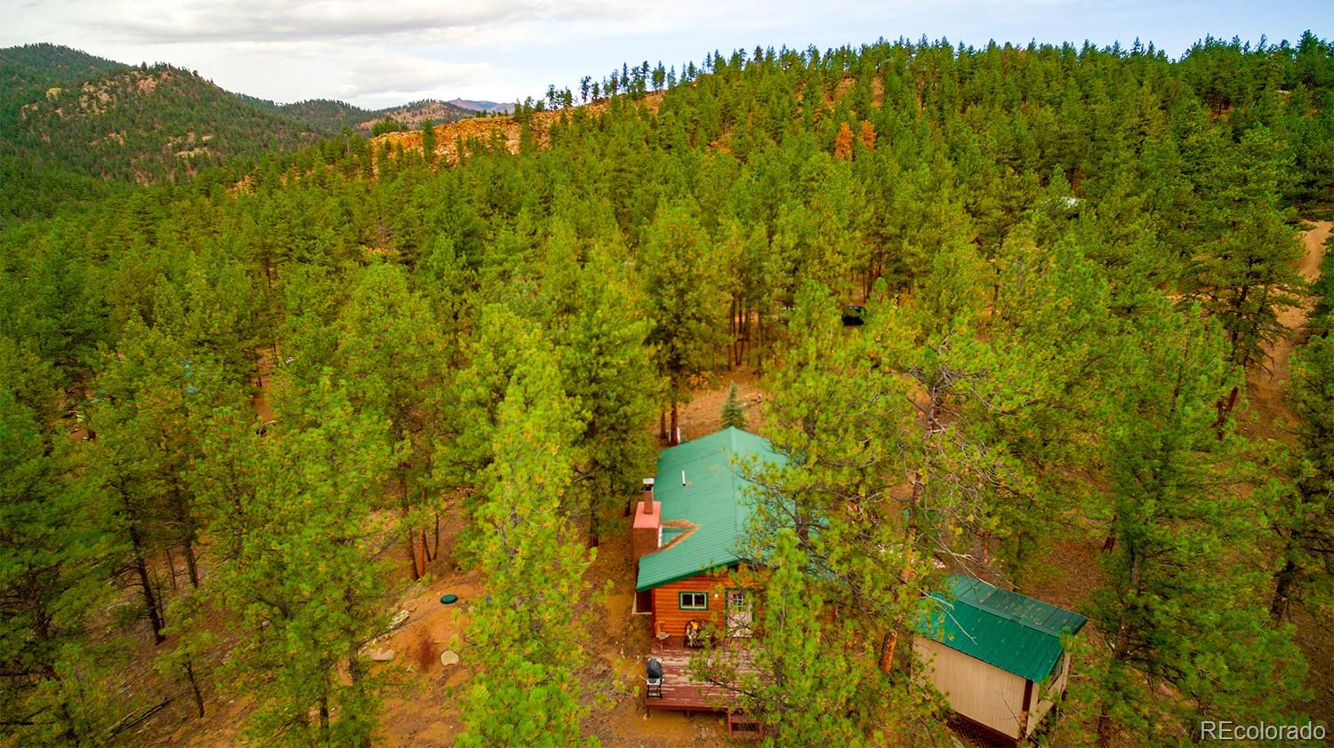 MLS Image #19 for 1356 n crystal road,lake george, Colorado