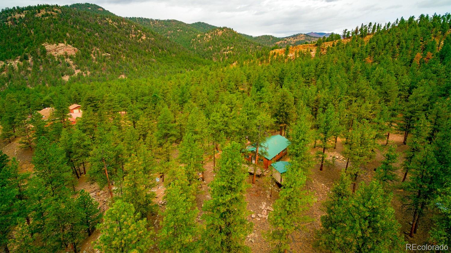 MLS Image #20 for 1356 n crystal road,lake george, Colorado