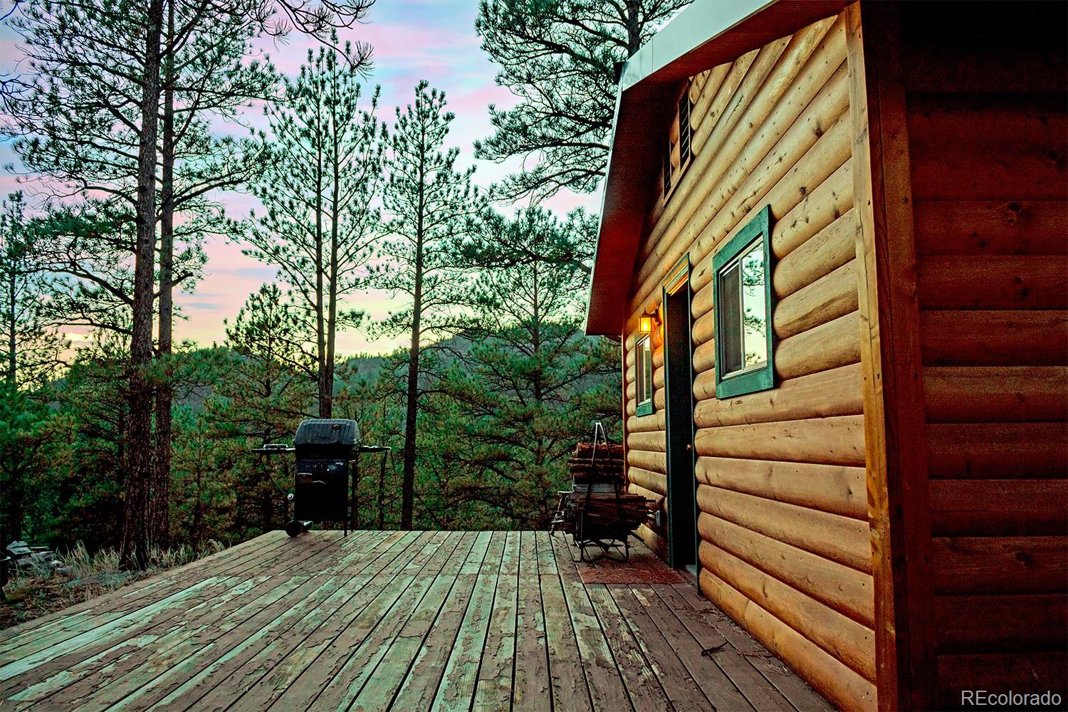MLS Image #3 for 1356 n crystal road,lake george, Colorado