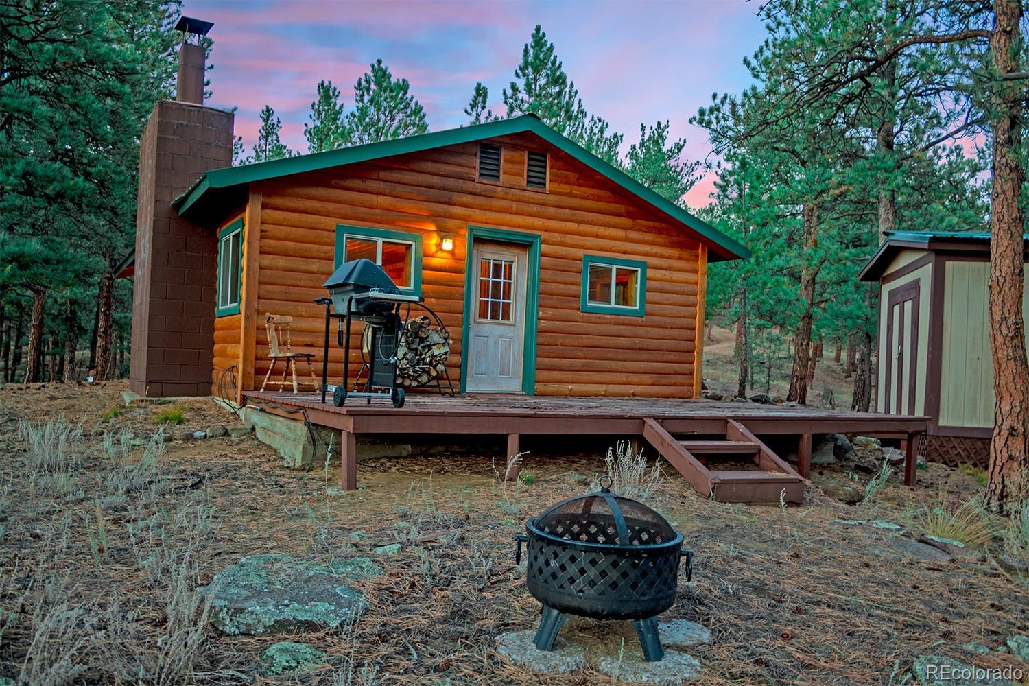 MLS Image #5 for 1356 n crystal road,lake george, Colorado