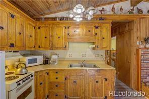 MLS Image #10 for 1428 n crystal road,lake george, Colorado