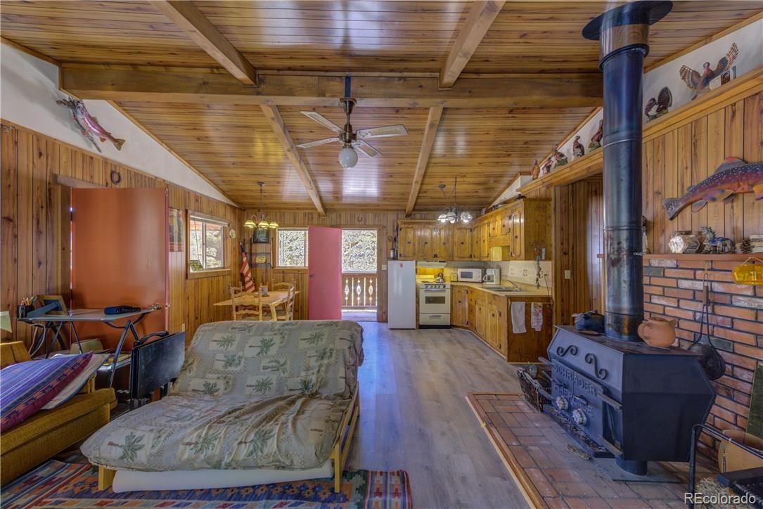 MLS Image #12 for 1428 n crystal road,lake george, Colorado