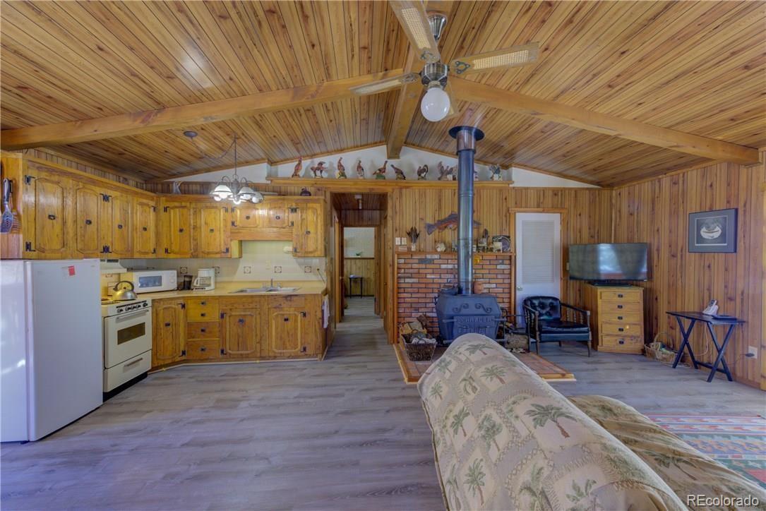 MLS Image #13 for 1428 n crystal road,lake george, Colorado