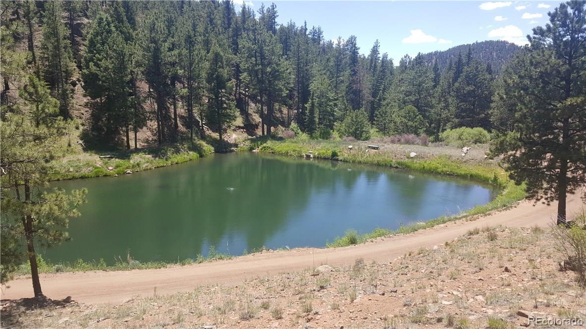 MLS Image #14 for 1428 n crystal road,lake george, Colorado