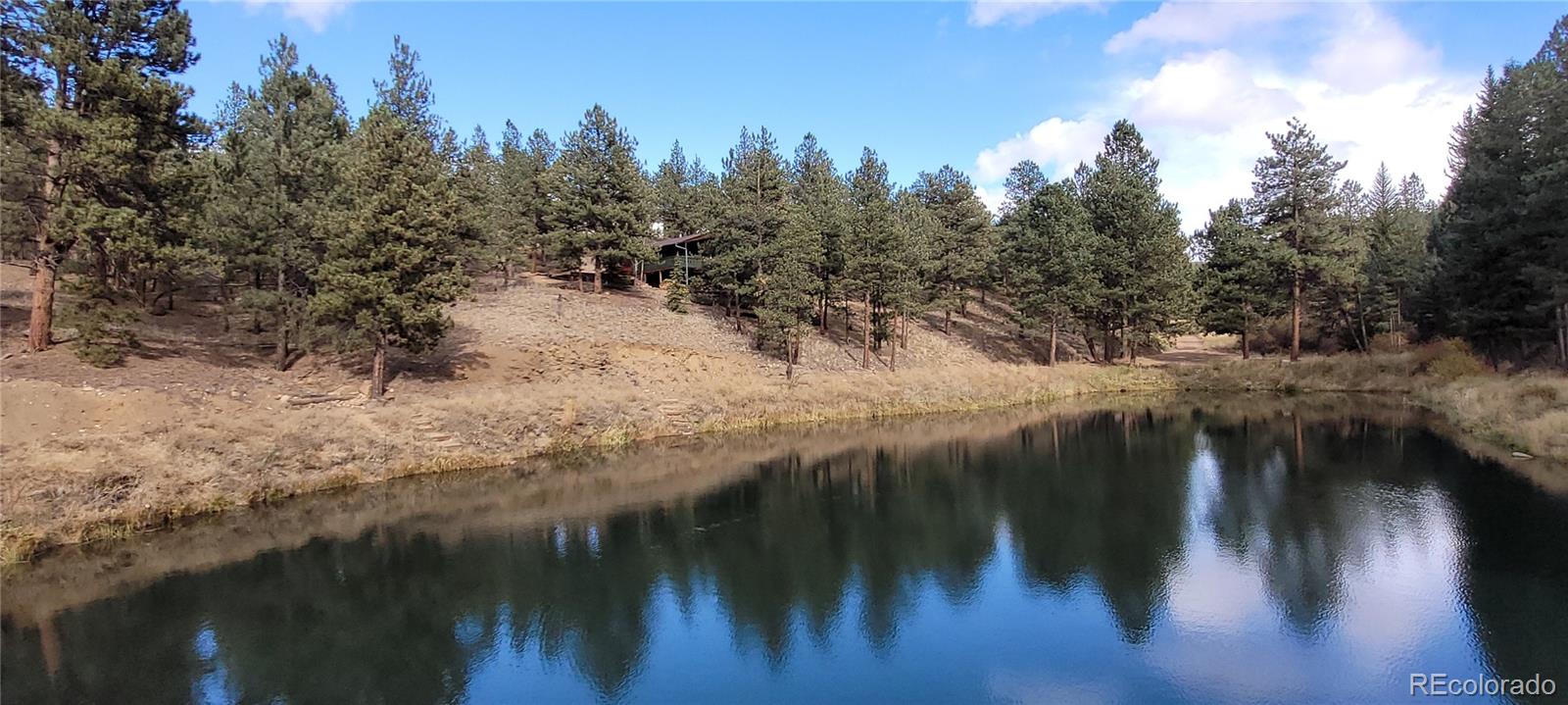 MLS Image #16 for 1428 n crystal road,lake george, Colorado