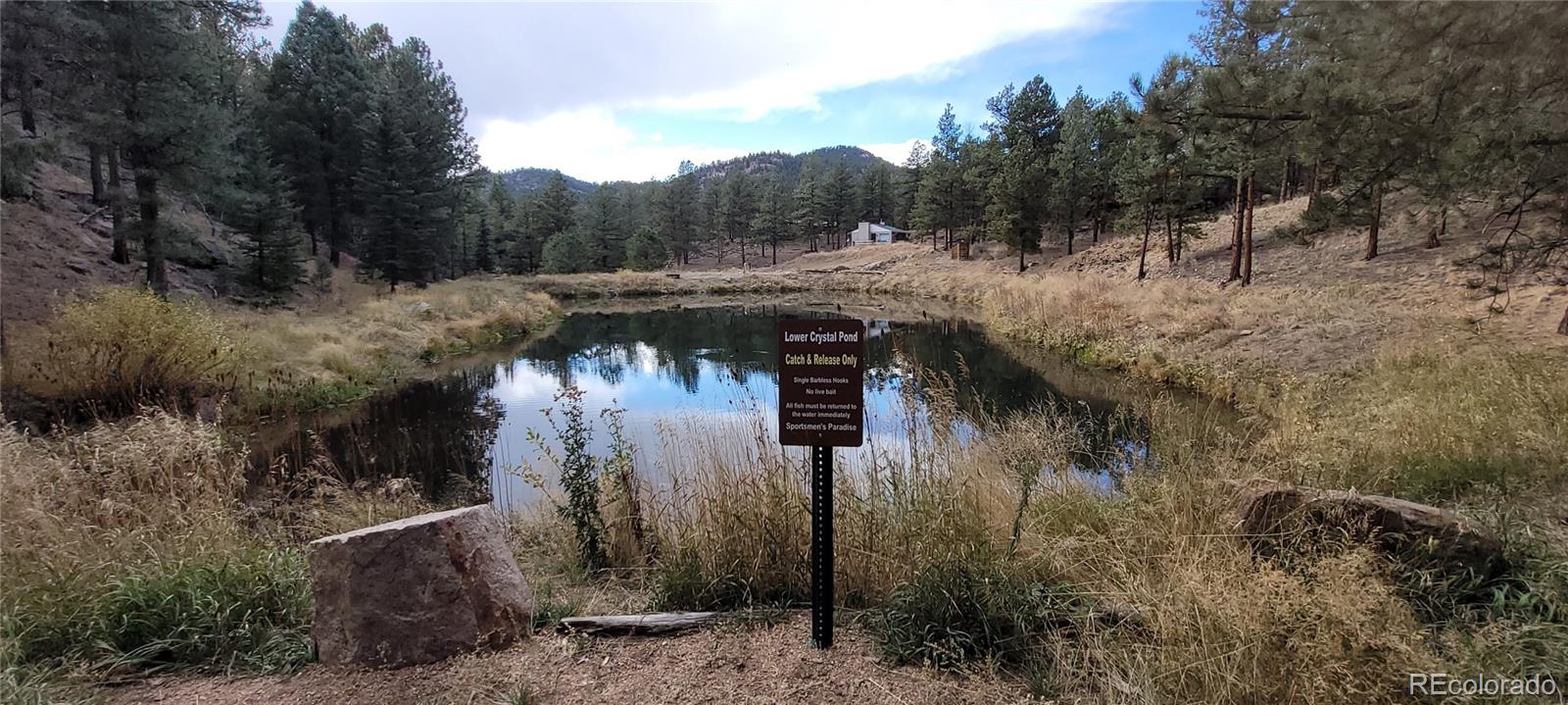 MLS Image #18 for 1428 n crystal road,lake george, Colorado