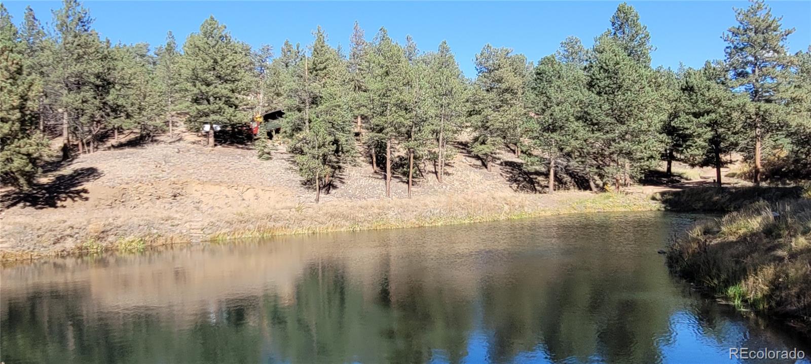 MLS Image #19 for 1428 n crystal road,lake george, Colorado