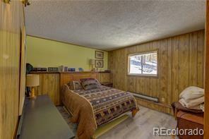 MLS Image #21 for 1428 n crystal road,lake george, Colorado
