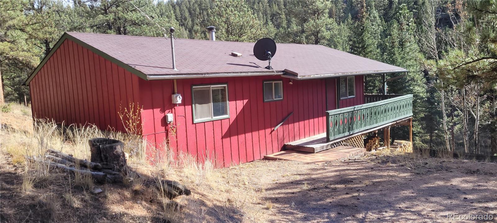 MLS Image #3 for 1428 n crystal road,lake george, Colorado