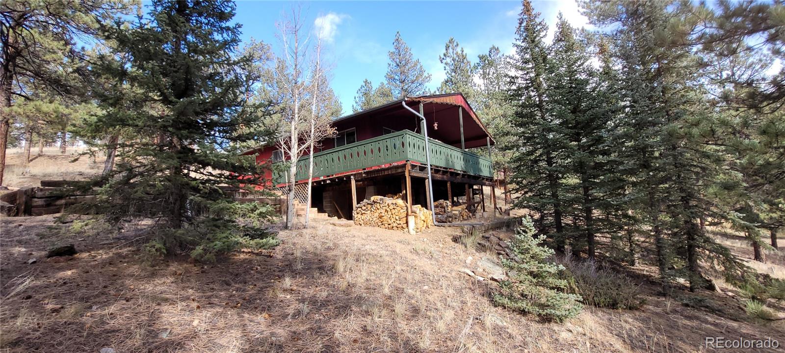 MLS Image #30 for 1428 n crystal road,lake george, Colorado