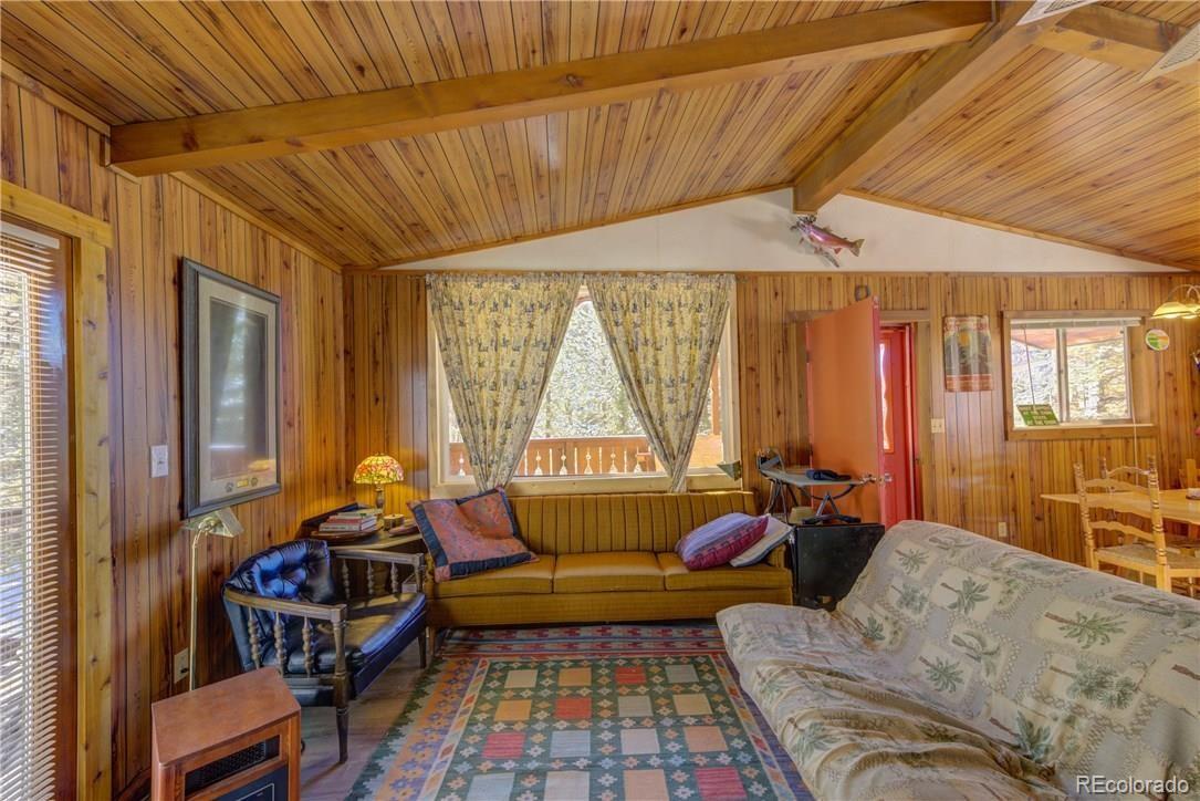 MLS Image #4 for 1428 n crystal road,lake george, Colorado