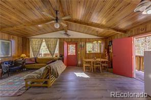 MLS Image #6 for 1428 n crystal road,lake george, Colorado