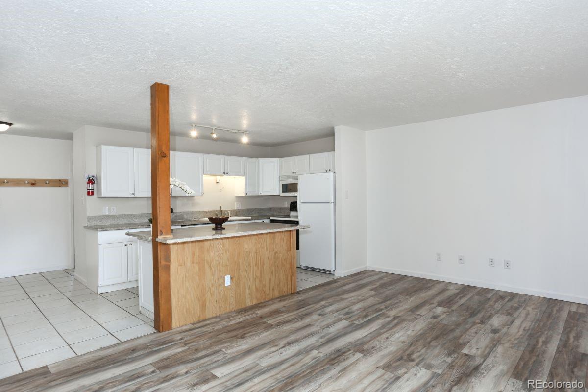 MLS Image #2 for 535  straight creek drive,dillon, Colorado