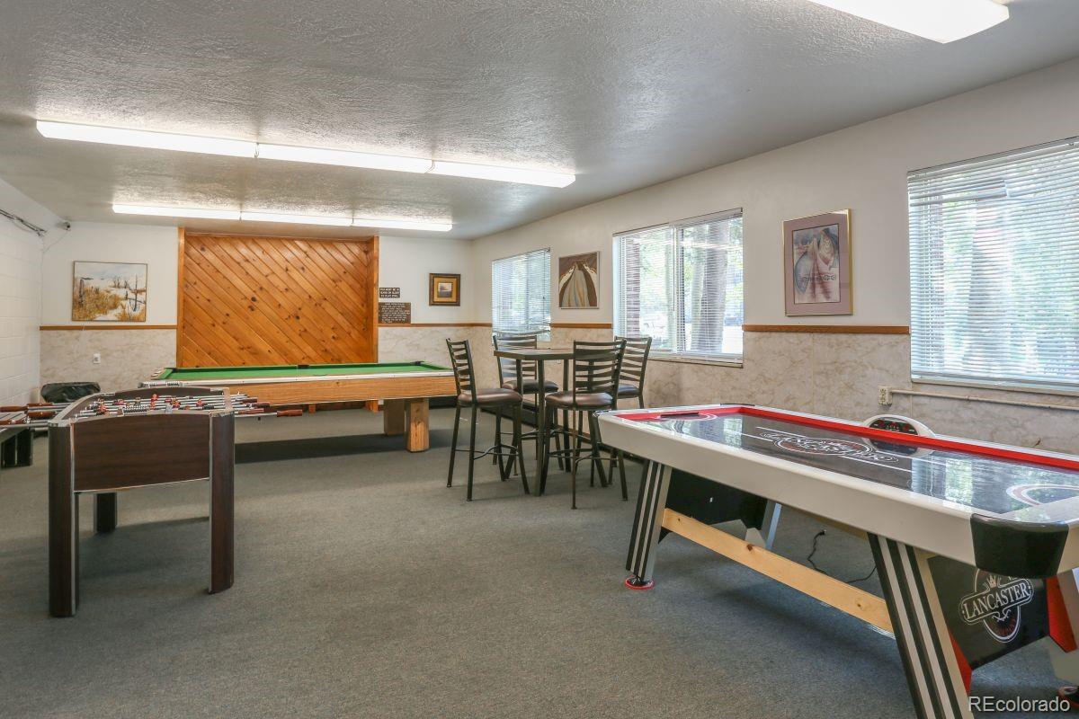 MLS Image #24 for 535  straight creek drive,dillon, Colorado