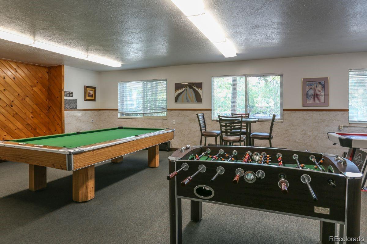 MLS Image #25 for 535  straight creek drive,dillon, Colorado