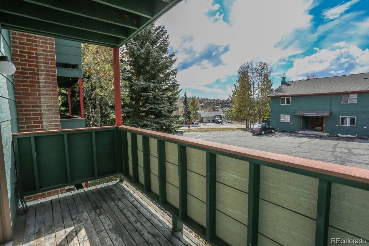 MLS Image #28 for 535  straight creek drive,dillon, Colorado