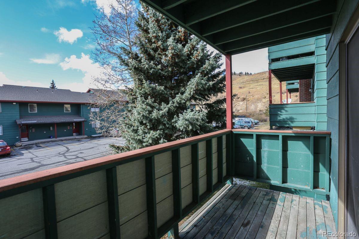 MLS Image #29 for 535  straight creek drive,dillon, Colorado