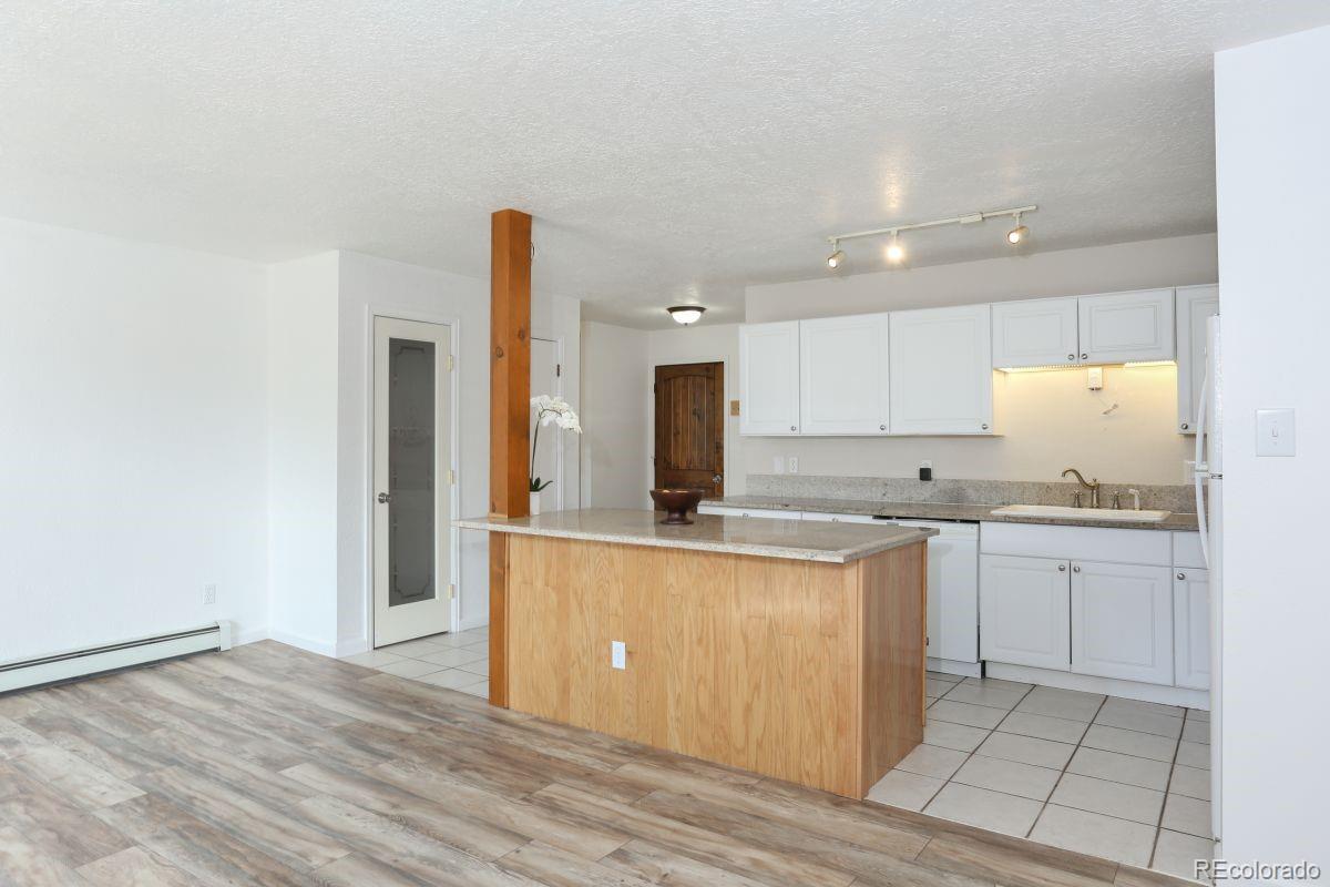 MLS Image #3 for 535  straight creek drive,dillon, Colorado