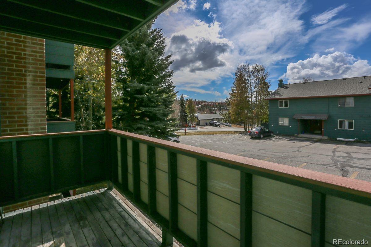 MLS Image #30 for 535  straight creek drive,dillon, Colorado