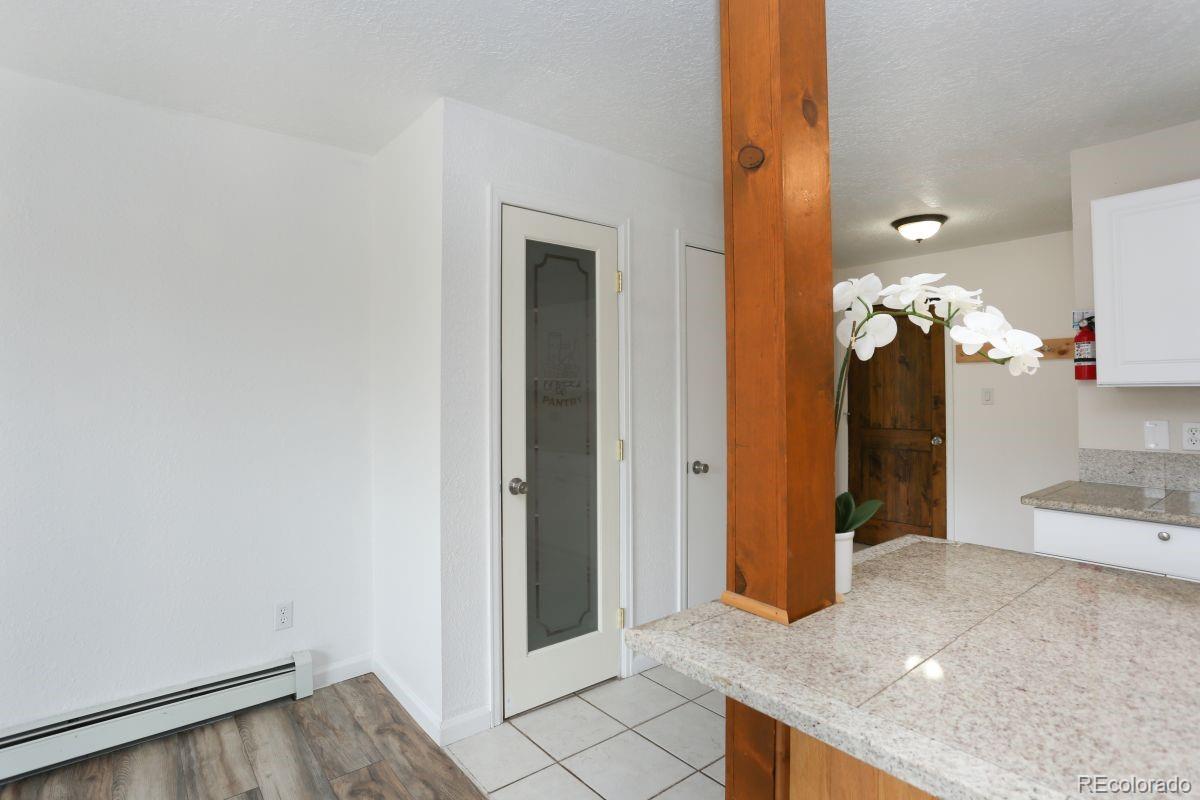 MLS Image #4 for 535  straight creek drive,dillon, Colorado