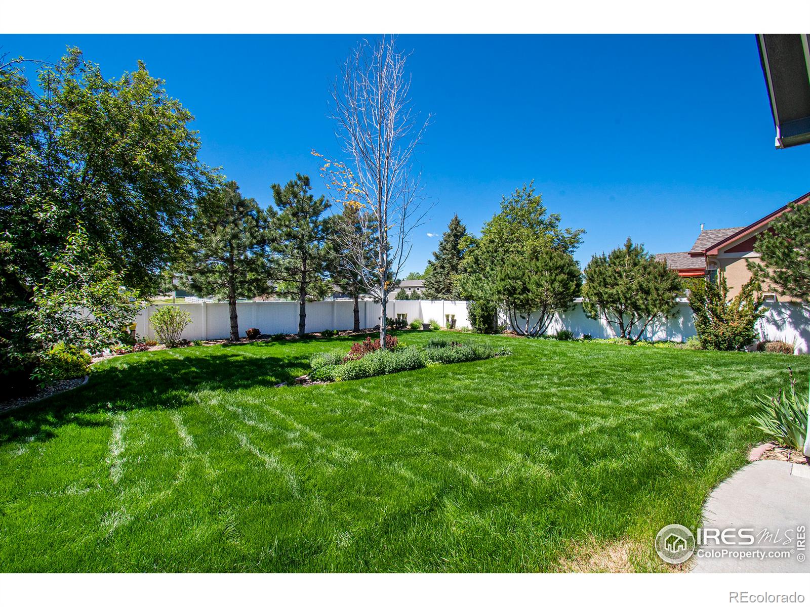 MLS Image #24 for 5496  eldorado drive,longmont, Colorado