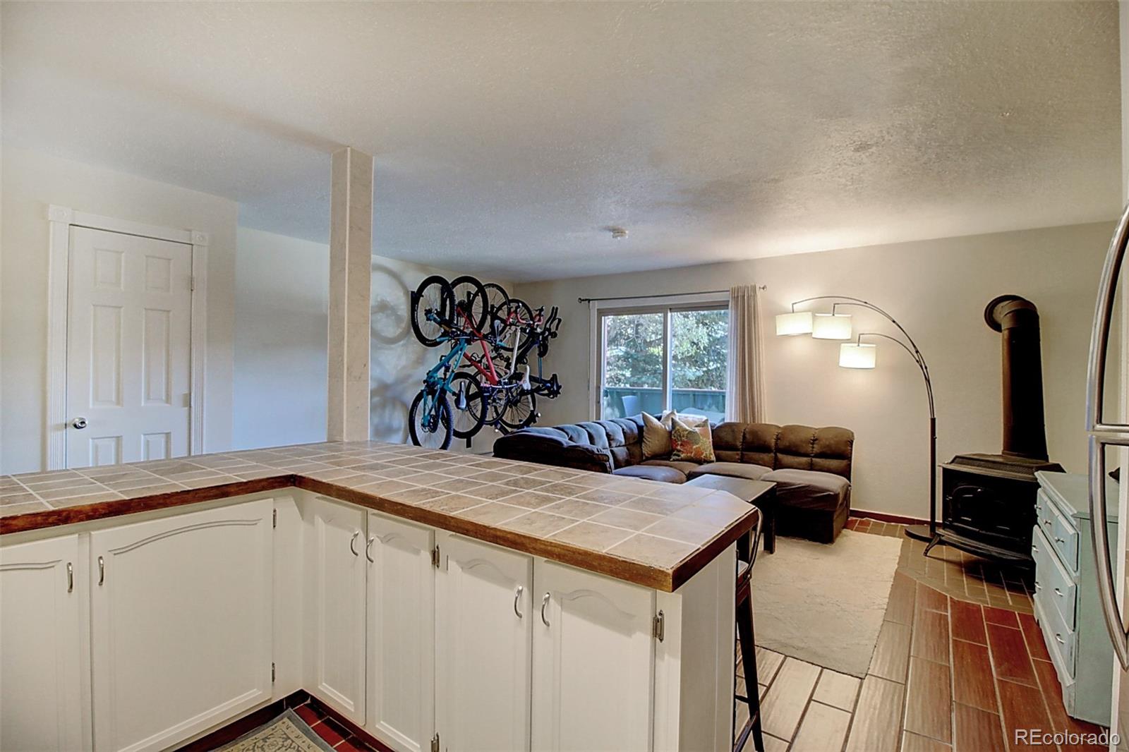 MLS Image #1 for 535  straight creek drive,dillon, Colorado