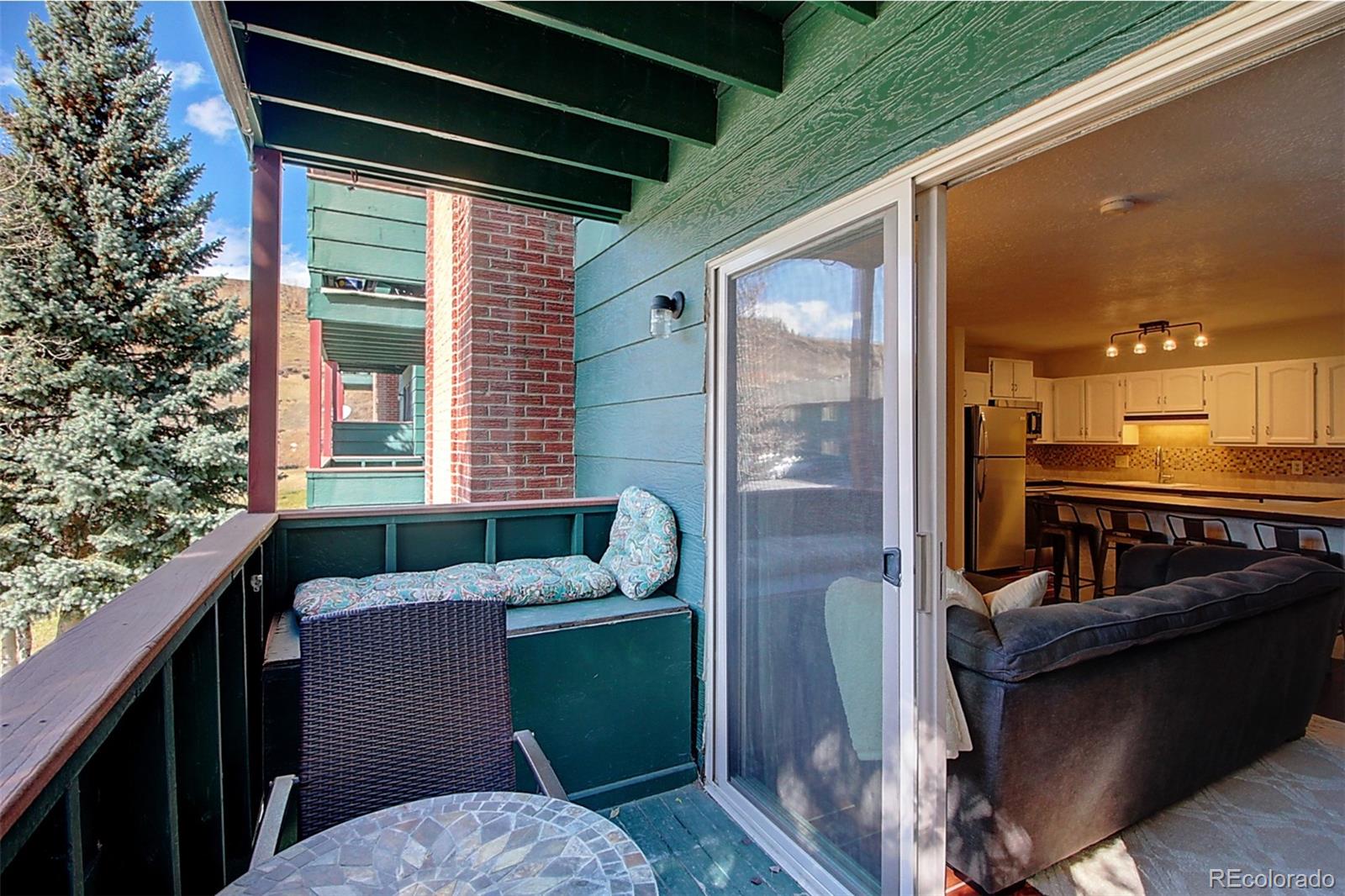 MLS Image #20 for 535  straight creek drive,dillon, Colorado