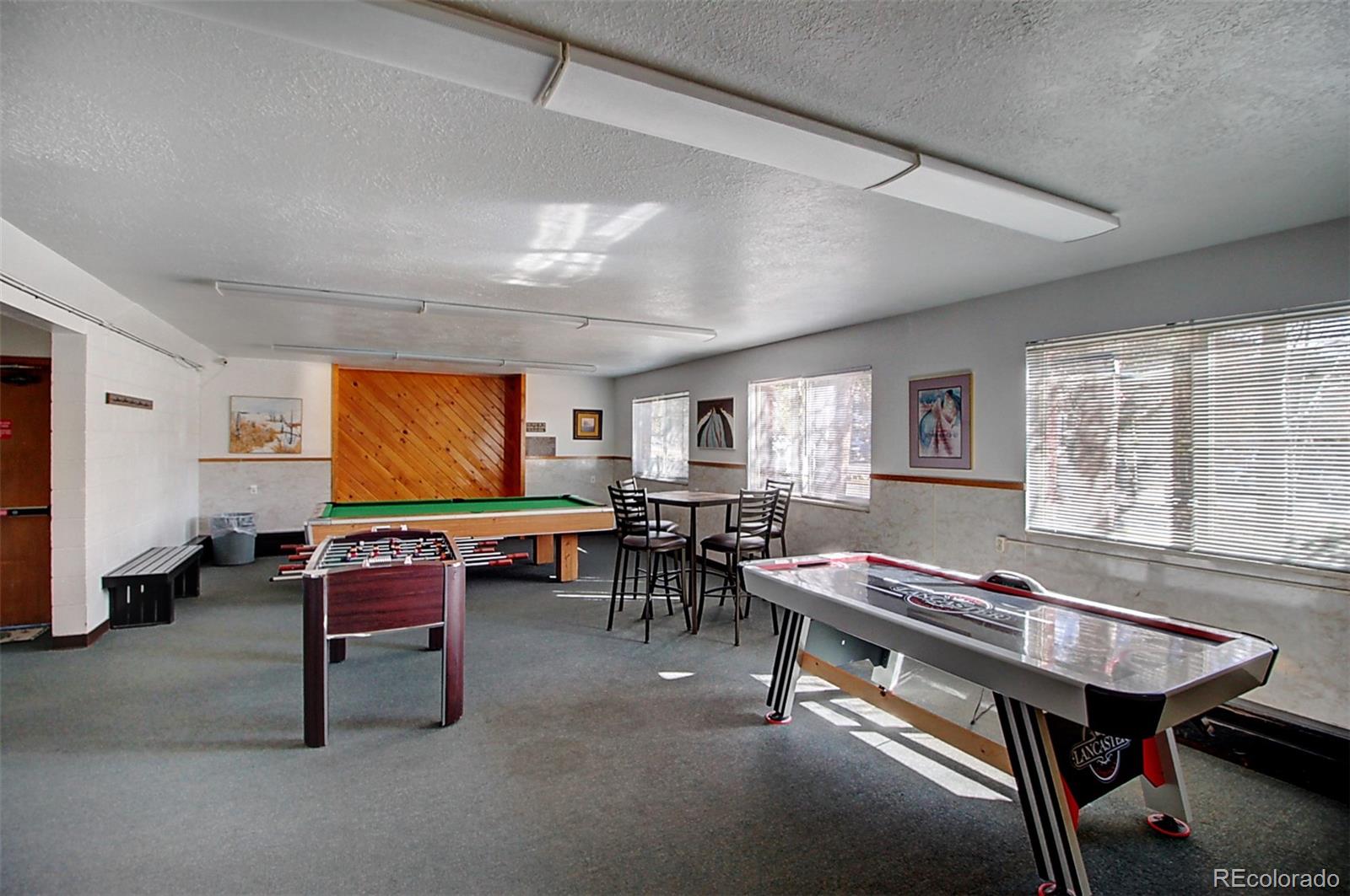 MLS Image #25 for 535  straight creek drive,dillon, Colorado