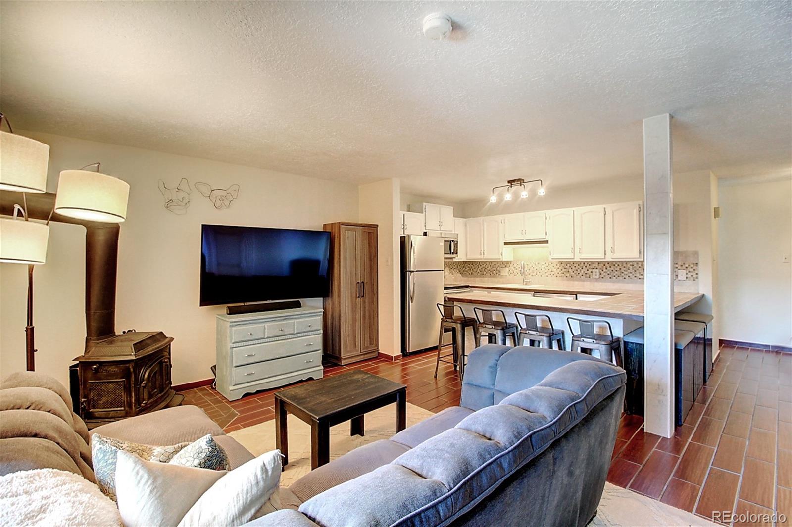 MLS Image #3 for 535  straight creek drive,dillon, Colorado