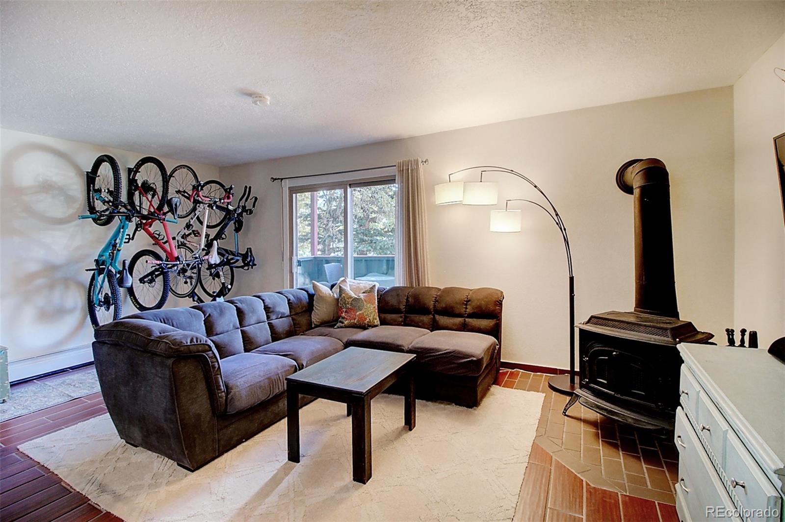 MLS Image #5 for 535  straight creek drive,dillon, Colorado