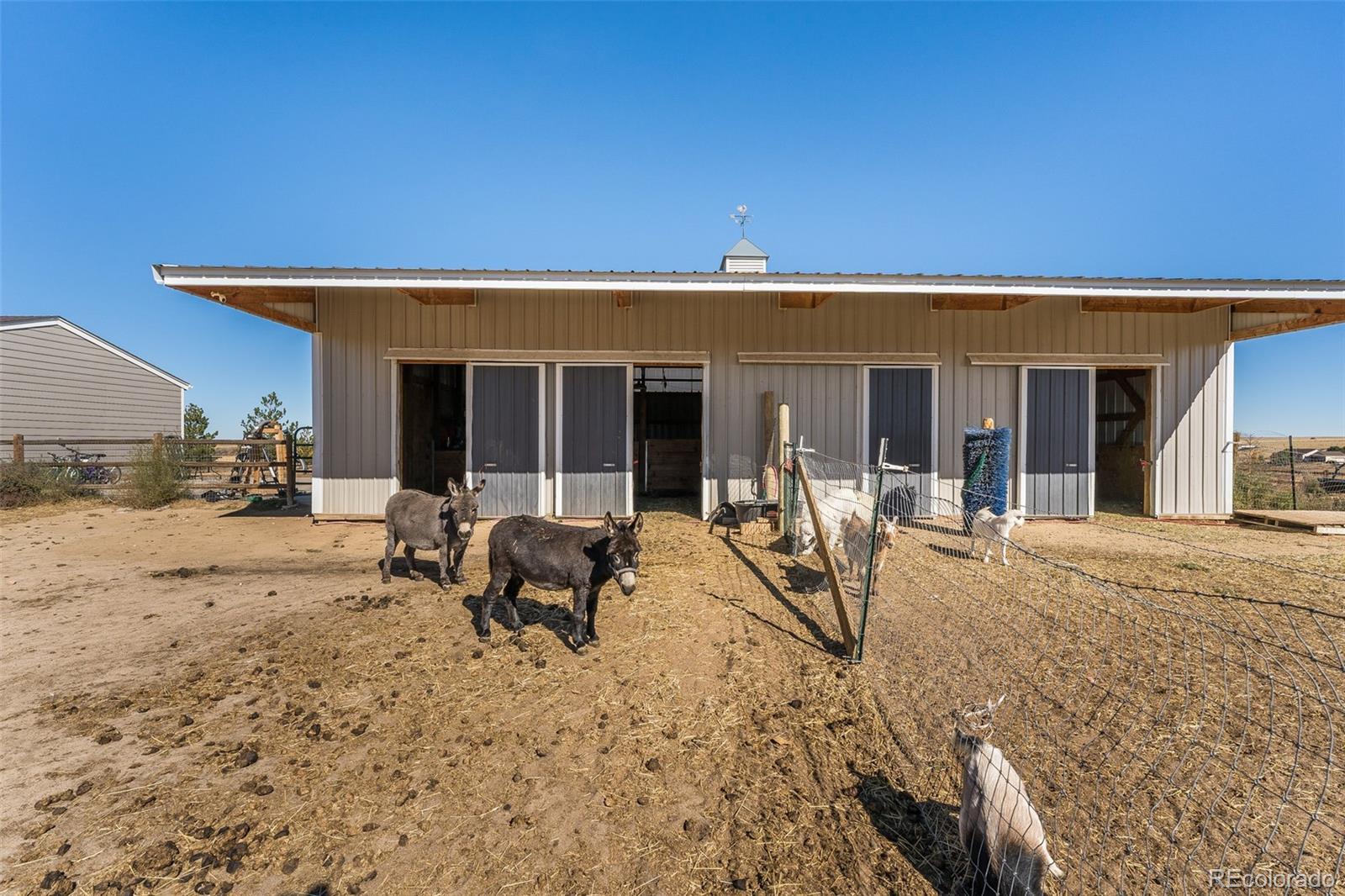 MLS Image #28 for 7150  sunset avenue,elizabeth, Colorado