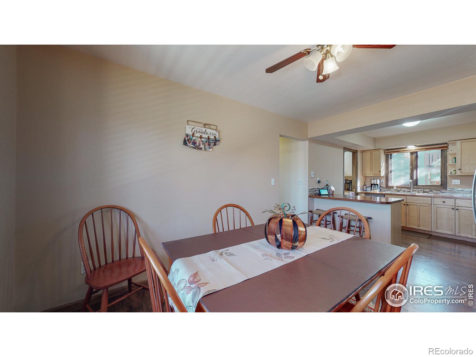 MLS Image #29 for 502  birch avenue,estes park, Colorado