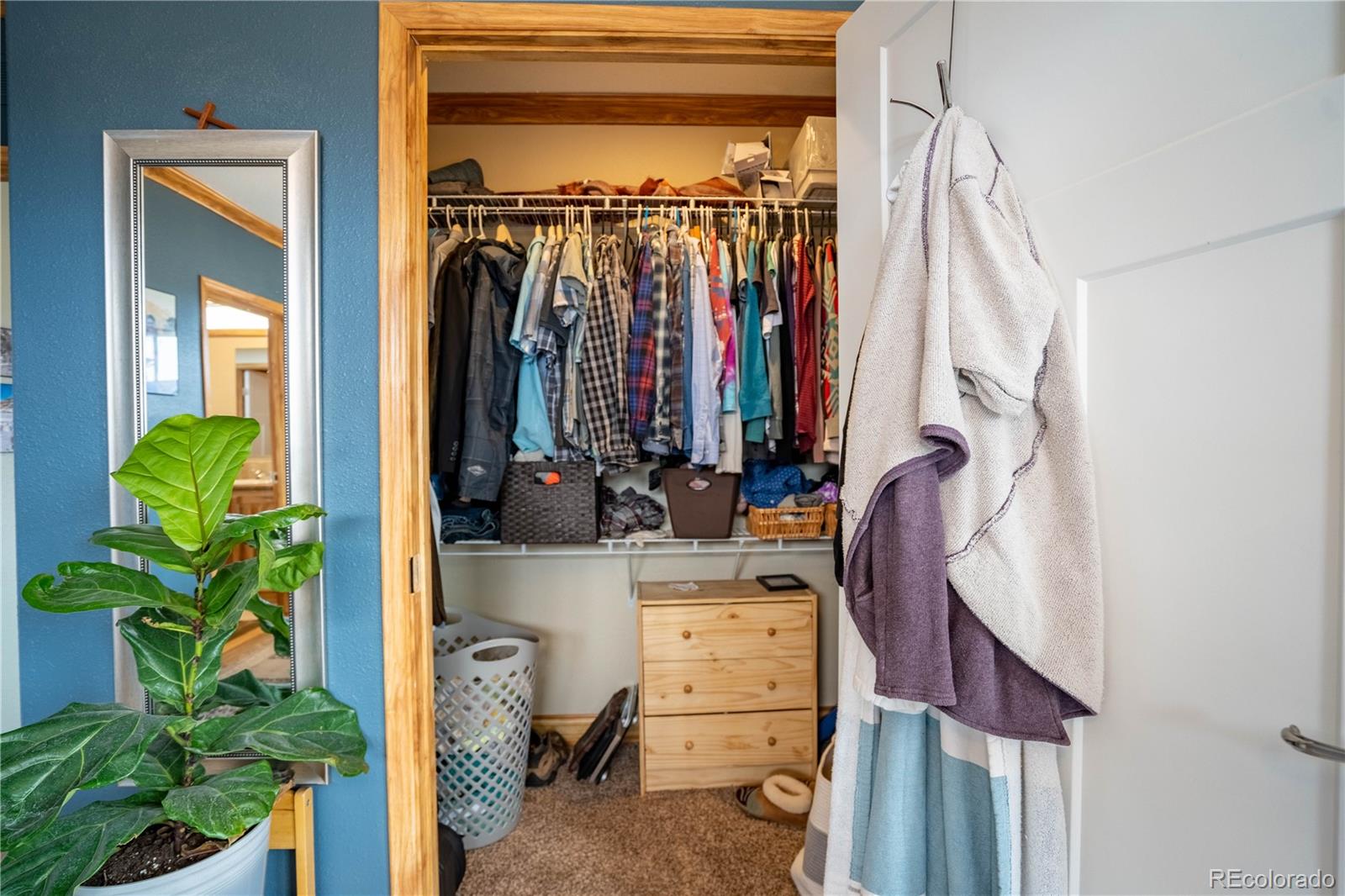 MLS Image #10 for 30916  county road 356 ,buena vista, Colorado