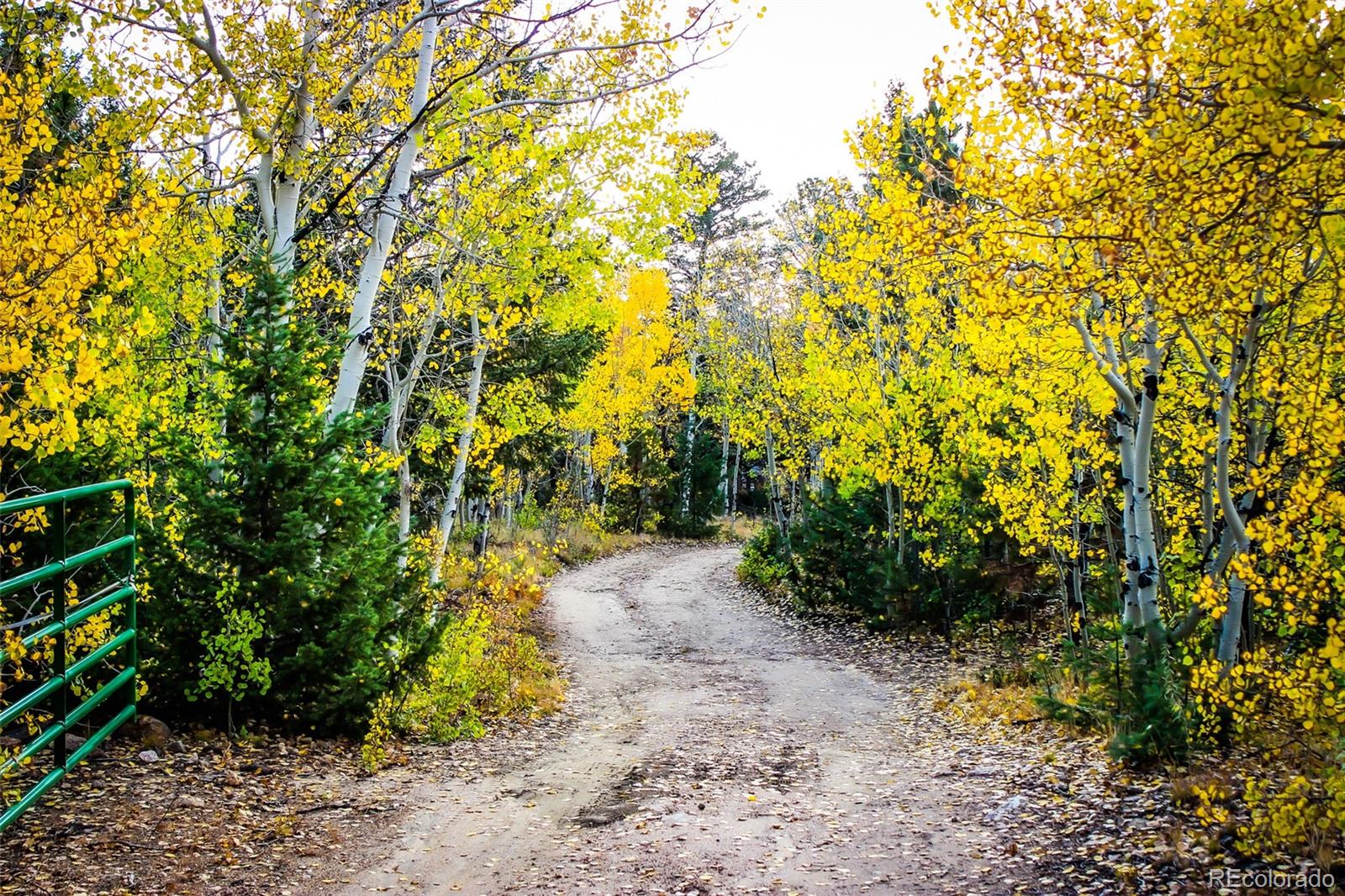 MLS Image #37 for 1030  russell gulch road,central city, Colorado