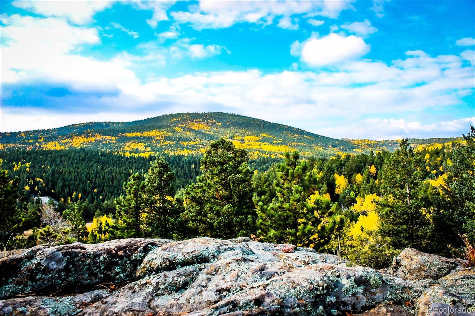 MLS Image #38 for 1030  russell gulch road,central city, Colorado