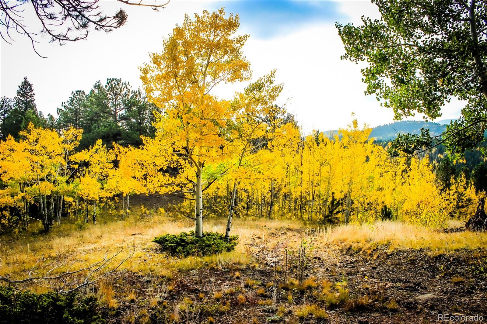 MLS Image #39 for 1030  russell gulch road,central city, Colorado
