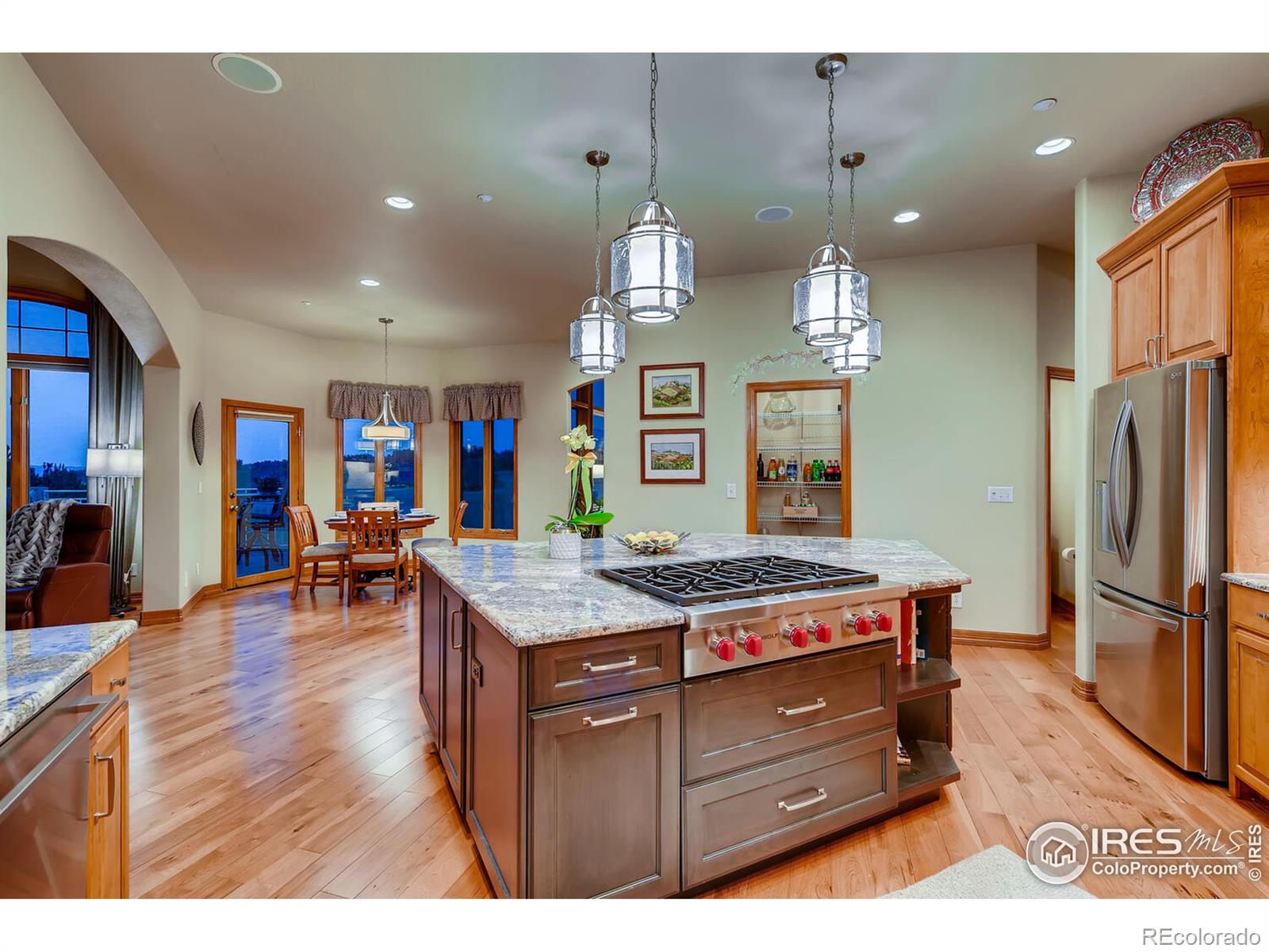 MLS Image #10 for 1043  night wind circle,castle rock, Colorado
