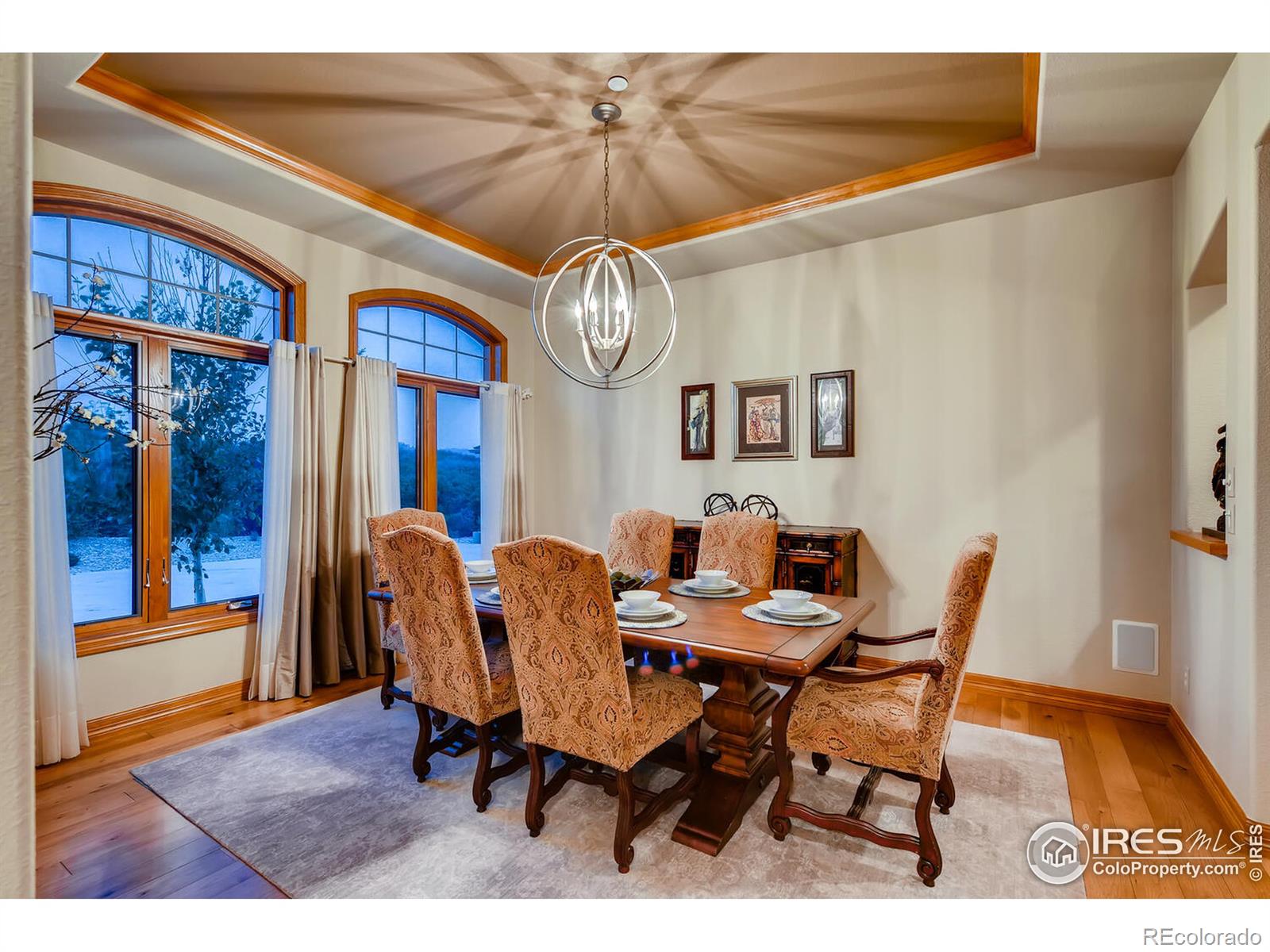 MLS Image #13 for 1043  night wind circle,castle rock, Colorado
