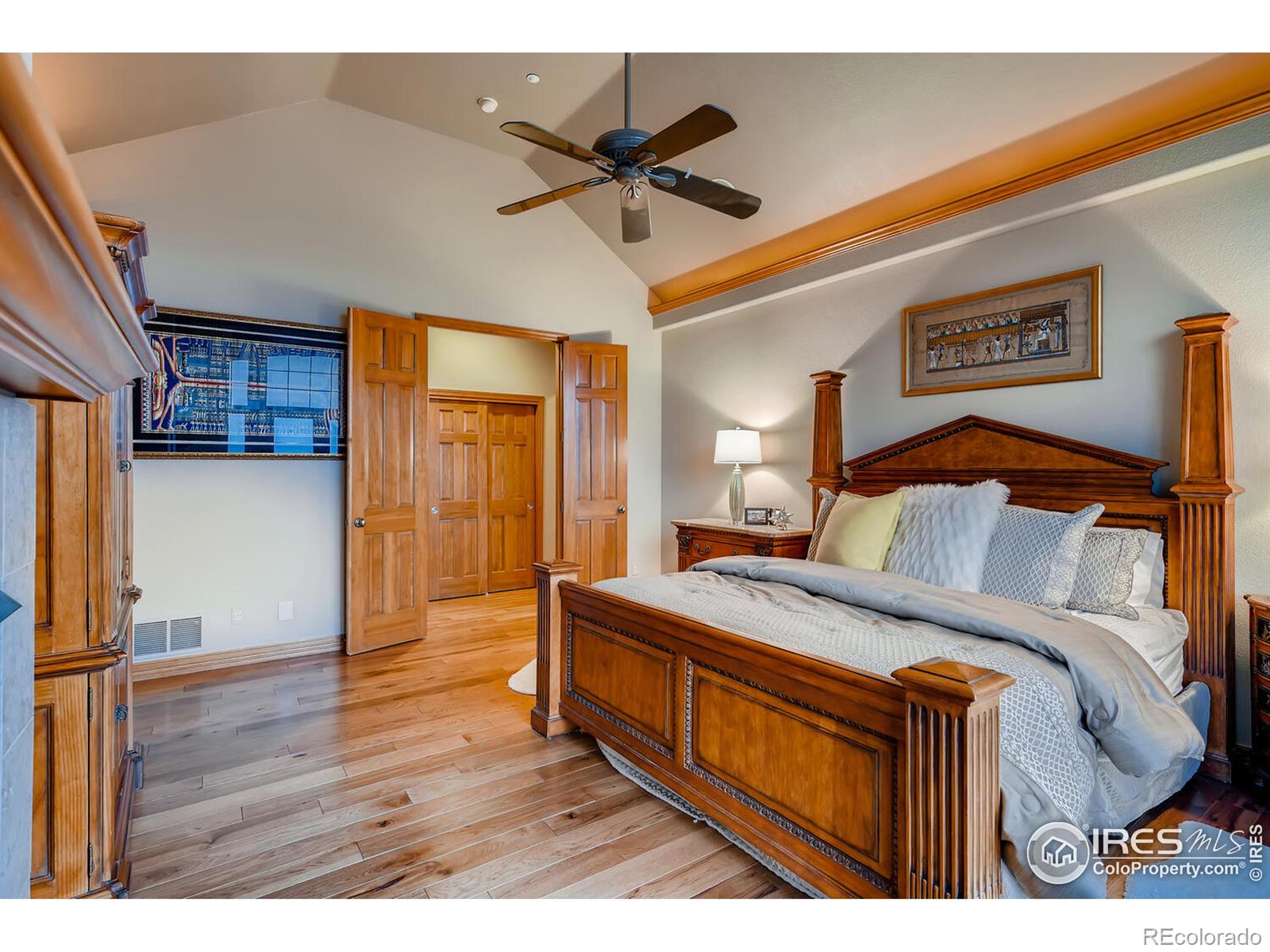 MLS Image #16 for 1043  night wind circle,castle rock, Colorado