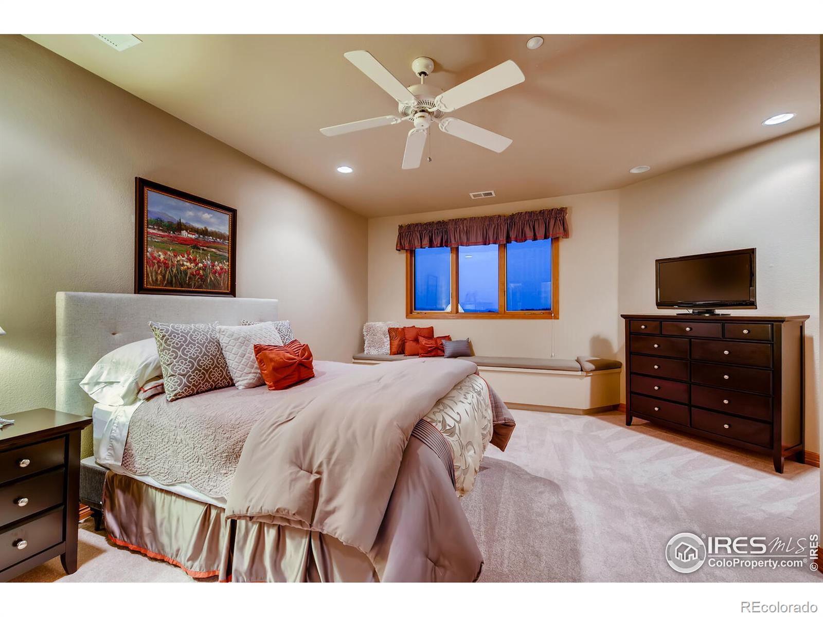 MLS Image #21 for 1043  night wind circle,castle rock, Colorado