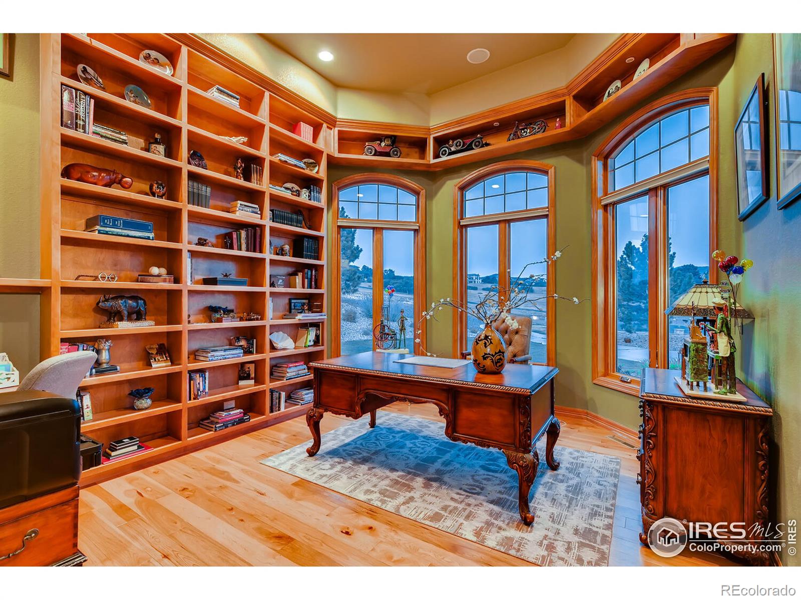 MLS Image #25 for 1043  night wind circle,castle rock, Colorado