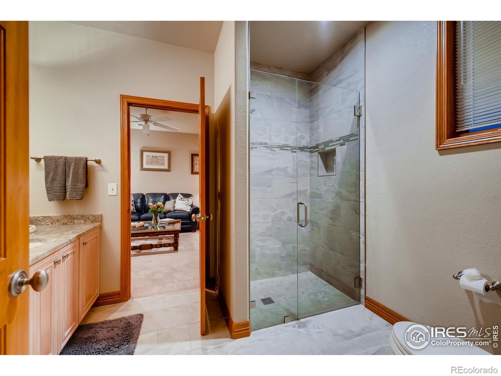 MLS Image #27 for 1043  night wind circle,castle rock, Colorado