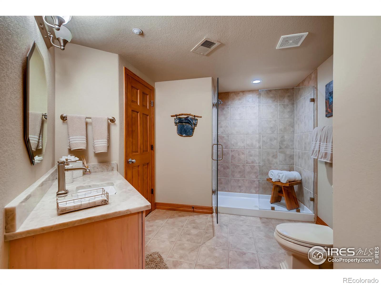 MLS Image #28 for 1043  night wind circle,castle rock, Colorado