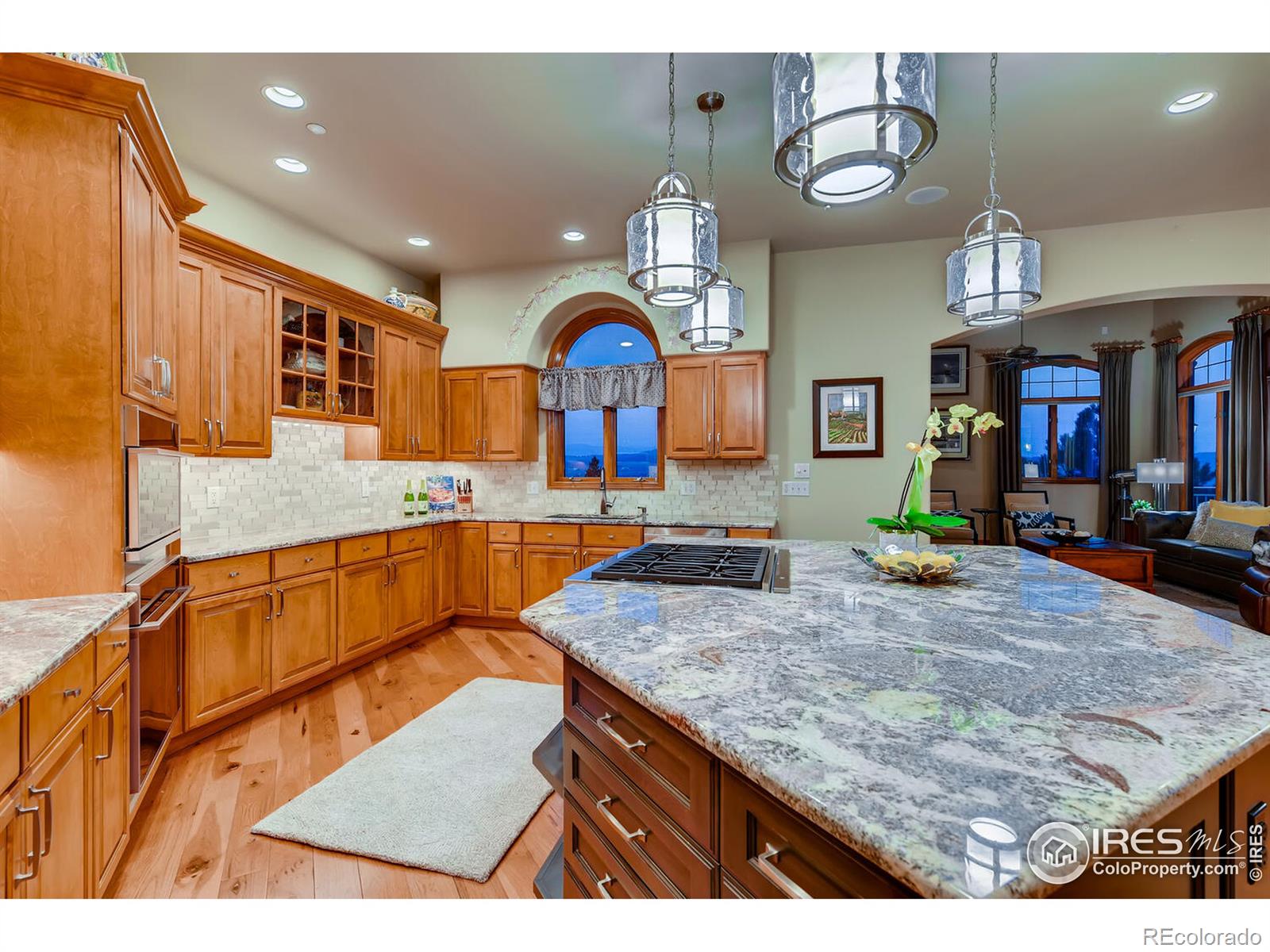 MLS Image #8 for 1043  night wind circle,castle rock, Colorado