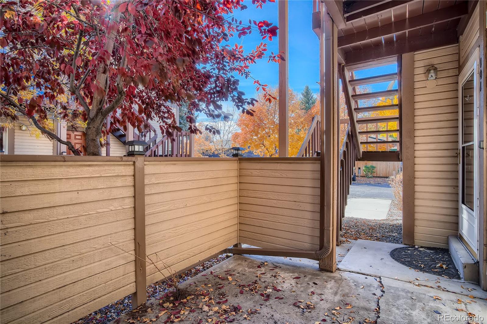 MLS Image #3 for 1101 s garrison street,lakewood, Colorado