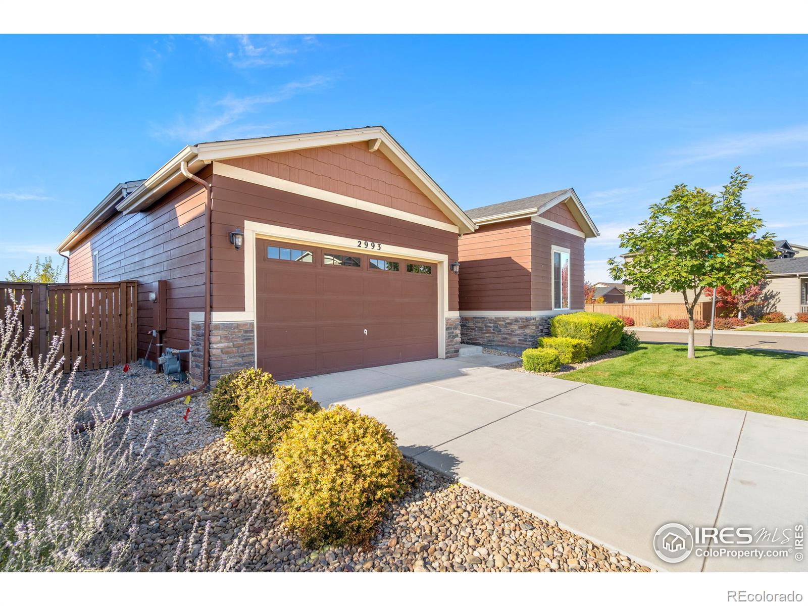 CMA Image for 2993  Aries Drive,Loveland, Colorado