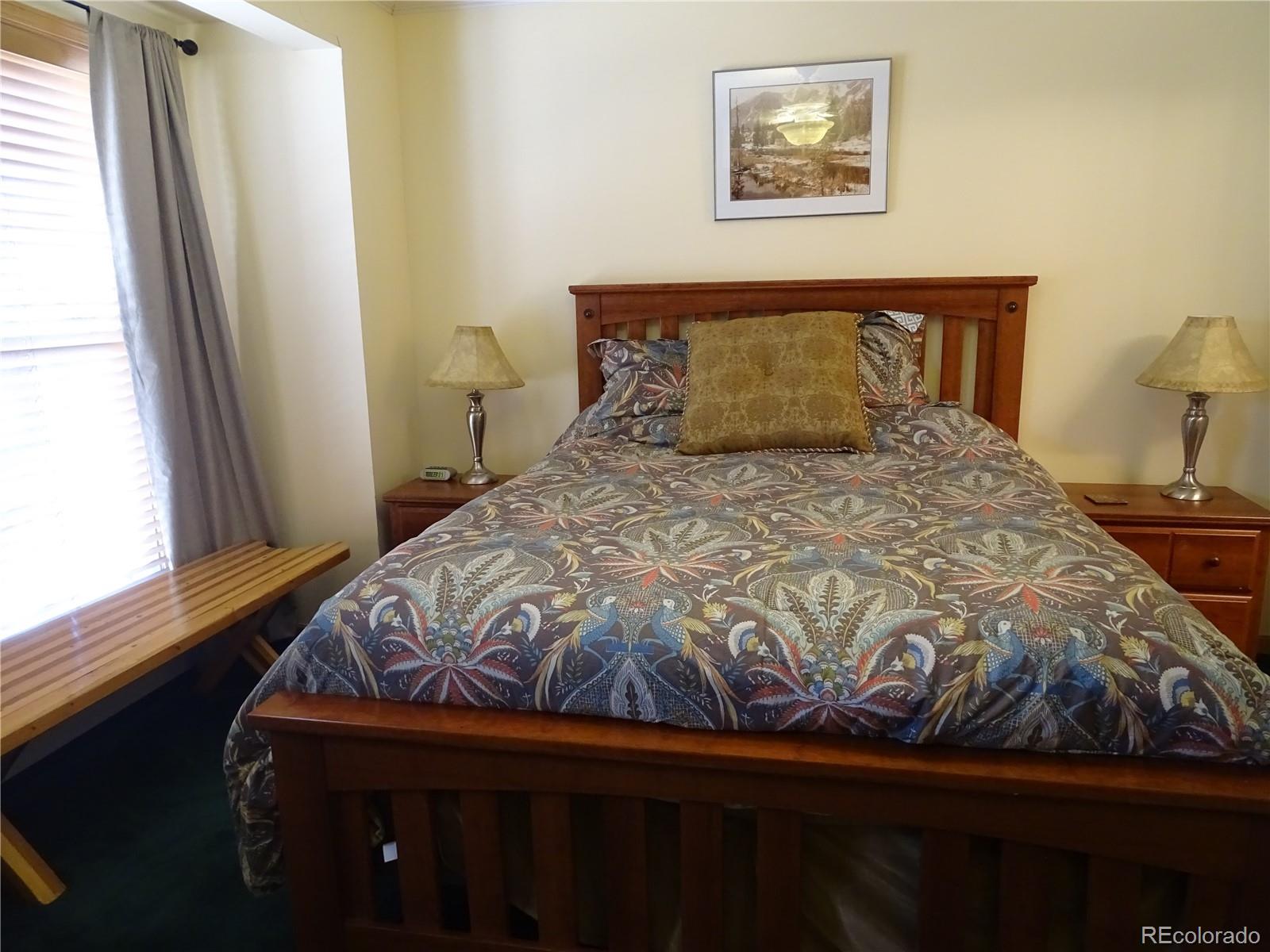 MLS Image #20 for 319  saddle ridge drive,silverthorne, Colorado