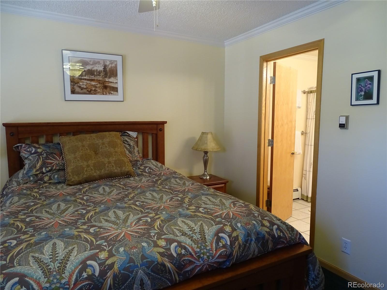 MLS Image #22 for 319  saddle ridge drive,silverthorne, Colorado