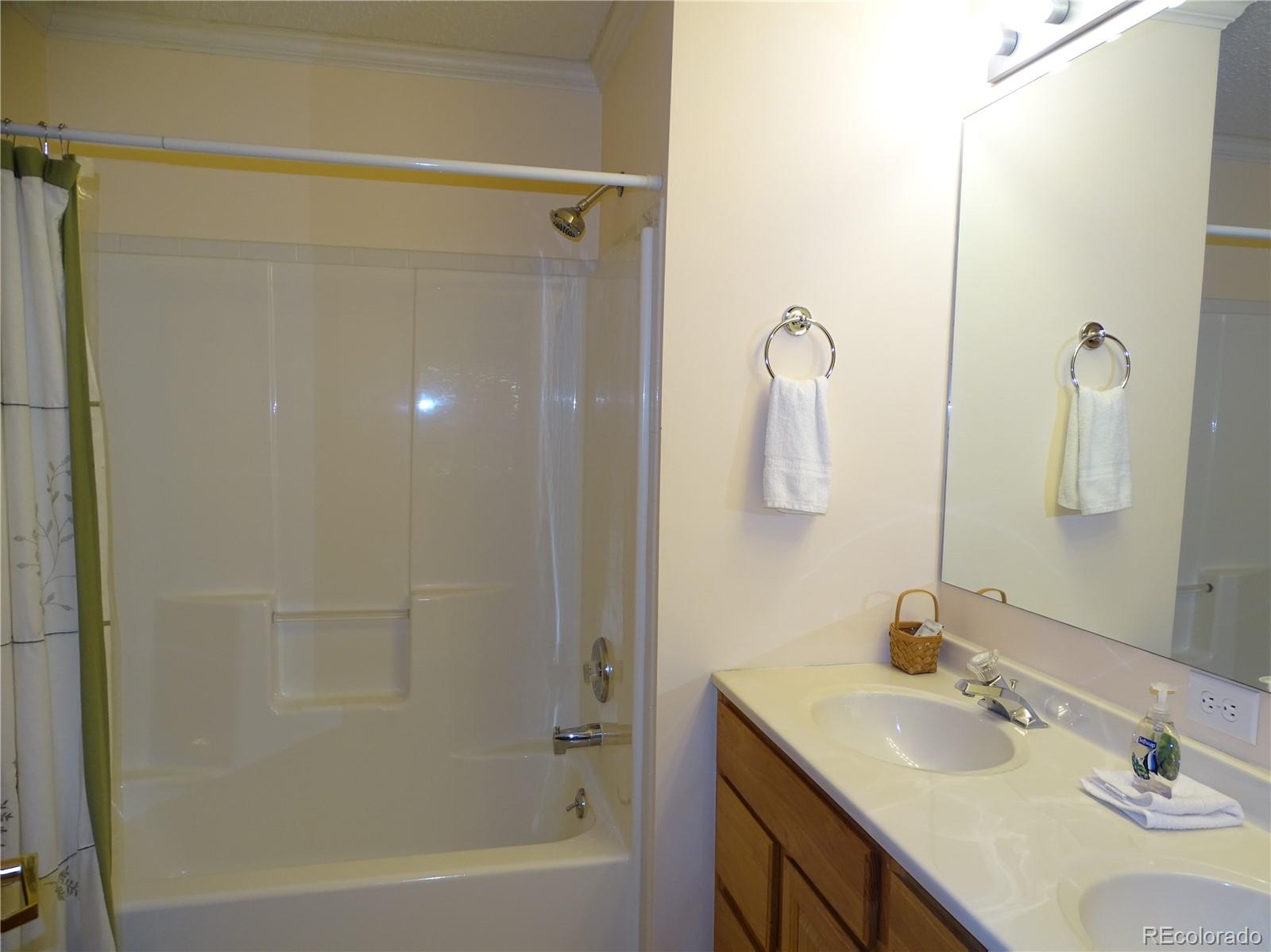MLS Image #23 for 319  saddle ridge drive,silverthorne, Colorado